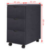 vidaXL Drawer Unit 33x45x60 cm Black