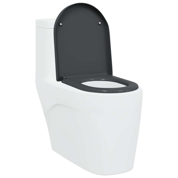 vidaXL Toilet Seat Anthracite 49 x 36 x 4 cm Duroplast