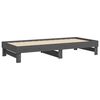vidaXL Pull-out Day Bed without Mattress Grey 2x(100x200) cm
