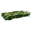 Product Thumbnail Image 2 of 6