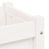 Product Thumbnail Image 10 of 12
