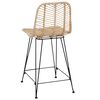 vidaXL Bar Chair 2 pcs Natural 44.5 x 54.5 x 97.5 cm Rattan and Iron