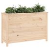vidaXL Garden Raised Bed 119.5x40x78 cm Solid Wood Pine