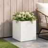 Product Thumbnail Image 2 of 7