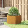 Product Thumbnail Image 4 of 12