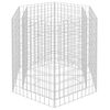 vidaXL Hexagonal Gabion Raised Bed 100x90x100 cm