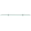 vidaXL Floating Shelf Glass 100x10 cm 8 mm