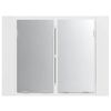 vidaXL LED Bathroom Mirror Cabinet High Gloss White 60x12x45 cm Acrylic
