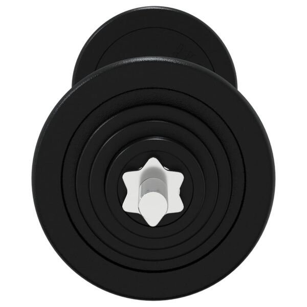 vidaXL Barbell with Plates 60 kg Cast Iron