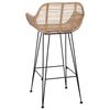 vidaXL Bar Chair 2 pcs Natural 55 x 52 x 92 cm Rattan and Iron
