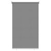 vidaXL Roller Blind UV Protection Light Grey 60 x 140 cm Polyester