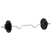 vidaXL Barbell with Plates 60 kg Cast Iron & Chrome Plated Steel