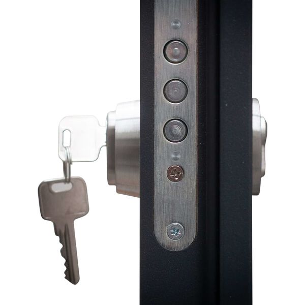 vidaXL Aluminium Front Door Anthracite 90x200 cm