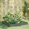Product Thumbnail Image 2 of 10