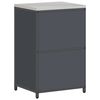 vidaXL Kitchen Storage with Shelf Anthracite 60 x 50 x 92 cm Steel