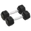 vidaXL Dumbbells 2 pcs 5 kg Total Cast Iron