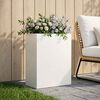 Product Thumbnail Image 2 of 7