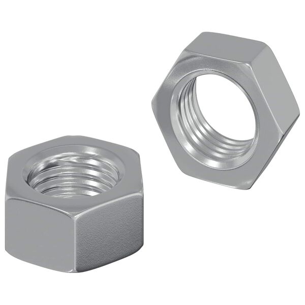 vidaXL Hex Nut 2 pcs Silver M6 Iron