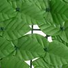 Product Thumbnail Image 5 of 7
