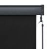 vidaXL Outdoor Roller Blind 160x250 cm Anthracite