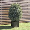 vidaXL Garden Planter Grey 40x40x40 cm Solid Pinewood