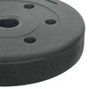 vidaXL Weight Plates 4 pcs Black Ø 21.5 x 3.8 cm
