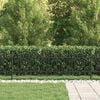vidaXL Spike Arch Fence Black 200 x 110 cm Powder-Coated Steel