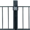vidaXL Fence Panels 2 pcs Iron 6x2 m 12m(Total Length) Anthracite Grey