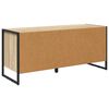 vidaXL Shoe Cabinet Sonoma 100 x 35 x 44 cm Engineered Wood