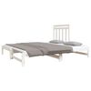 vidaXL Pull-out Day Bed without Mattress White 2x(90x190) cm