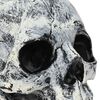 Product Thumbnail Image 6 of 8