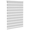 vidaXL Zebra Blind Light Grey 100x100 cm Fabric Width 95.9 cm Polyester