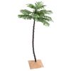 Product Thumbnail Image 2 of 10