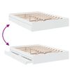 Product Thumbnail Image 7 of 10