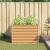 Product Thumbnail Image 4 of 13