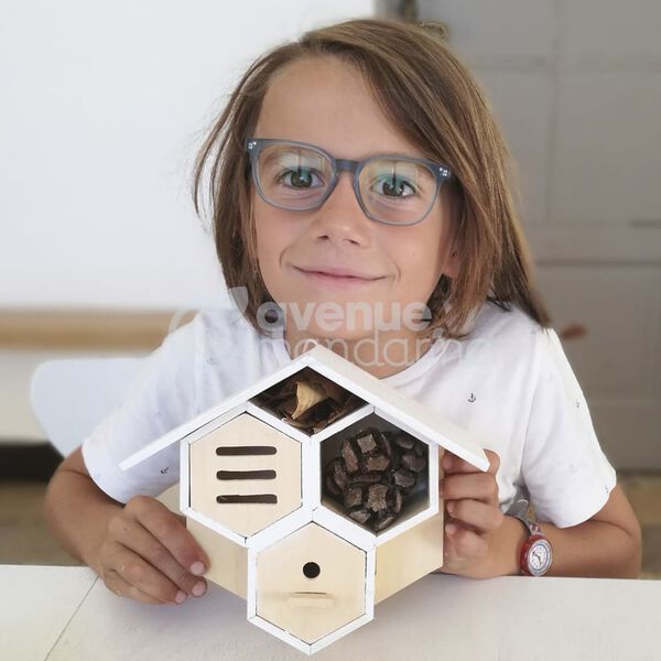 Avenue Mandarine Creative Box Bug House to Build