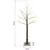 Product Thumbnail Image 5 of 5