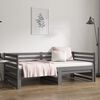 vidaXL Pull-out Day Bed without Mattress Grey 2x(80x200)cm