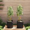 vidaXL Tomato Cage with Plant Bag 2 pcs 116 cm Steel and PP