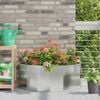 Product Thumbnail Image 2 of 13