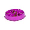Outward Hound Mini Slow Feeder for Dogs Slo Bowl Purple
