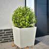 Product Thumbnail Image 2 of 10