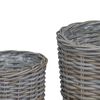 vidaXL Planter Basket with Storage 2 pcs Grey