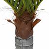 vidaXL Artificial Palm Tree 6 Leaves 100 cm Green