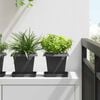 Product Thumbnail Image 2 of 10