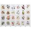 vidaXL 6-Panel Room Divider White 210x165 cm Bird