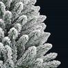 Product Thumbnail Image 10 of 16