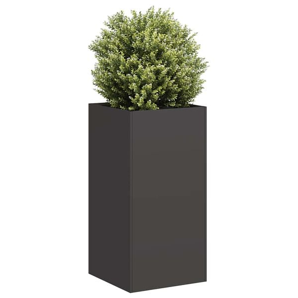 Showing Product Image 2 of 9
