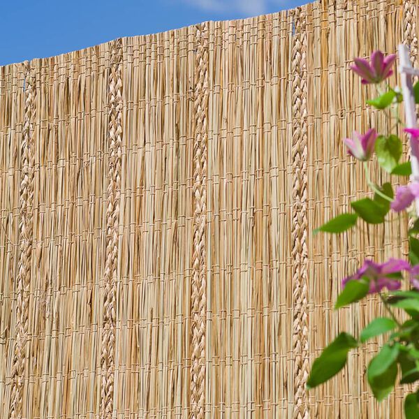 Nature Garden Screen Carex Sedge 3x1m