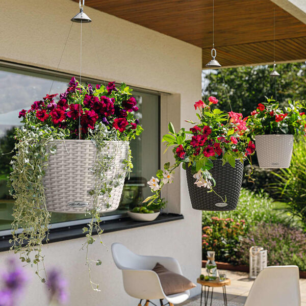 LECHUZA Hanging Planter NIDO Cottage 35 ALL-IN-ONE Granite